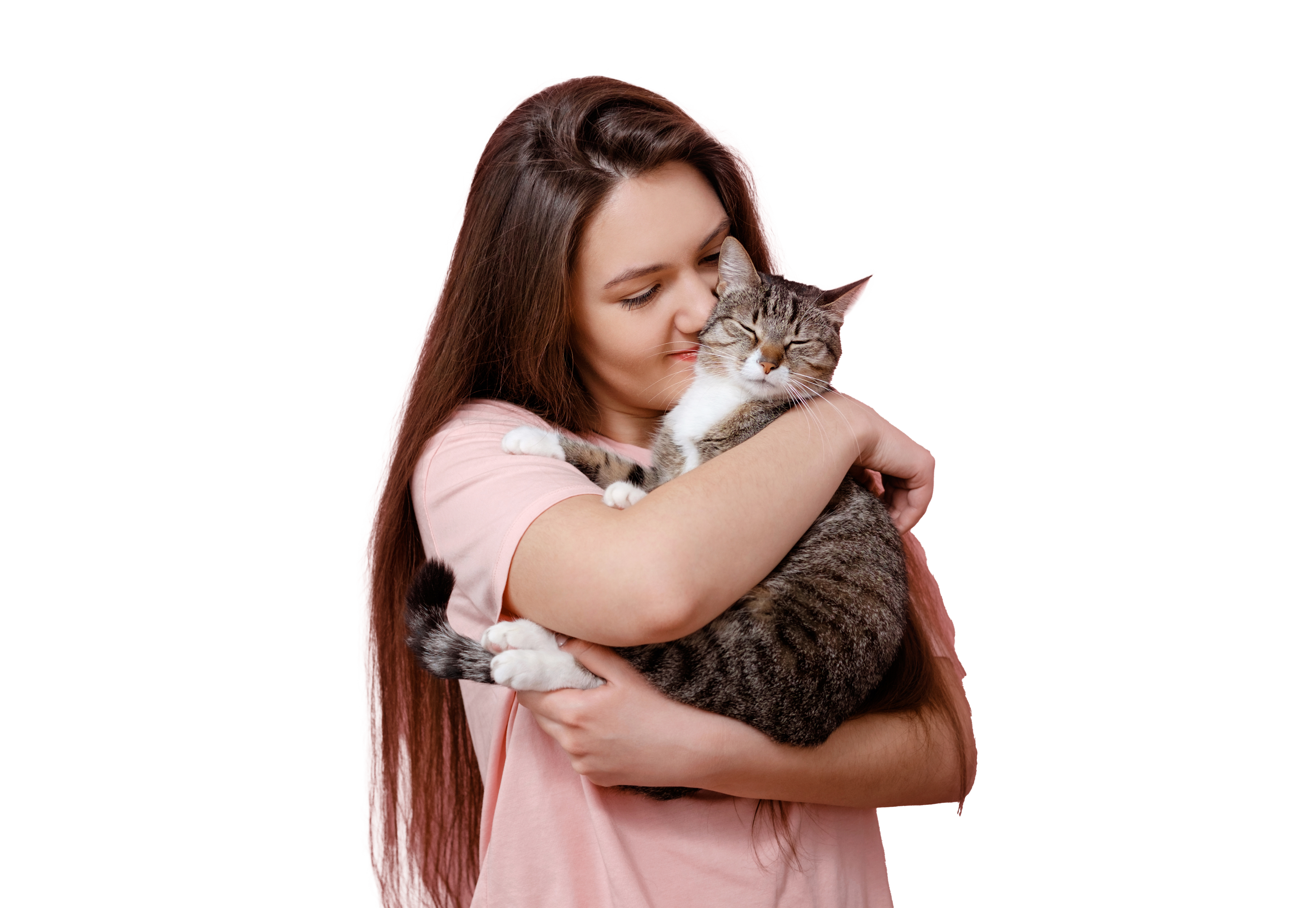 Gato